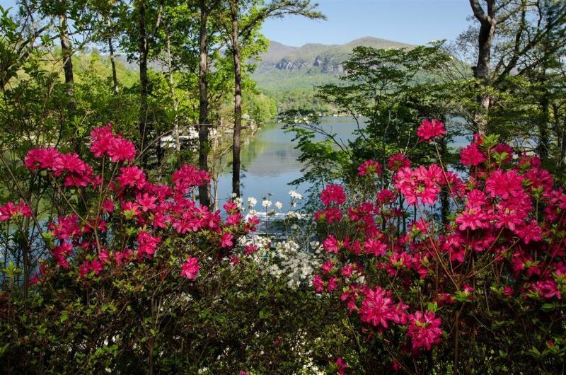 Lodge On Lake Lure Bagian luar foto